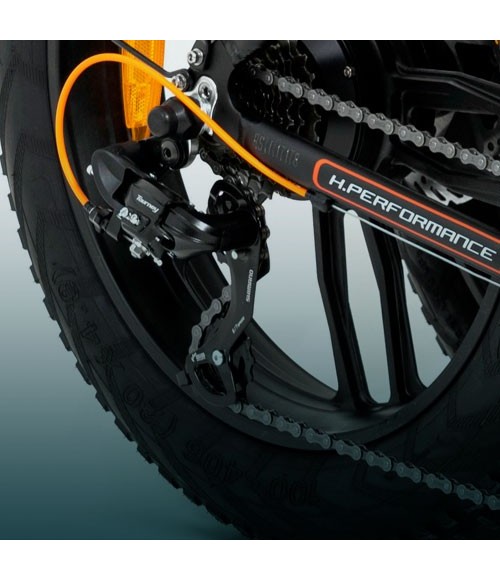 YOUIN E-BIKE TEXAS - detalle rueda